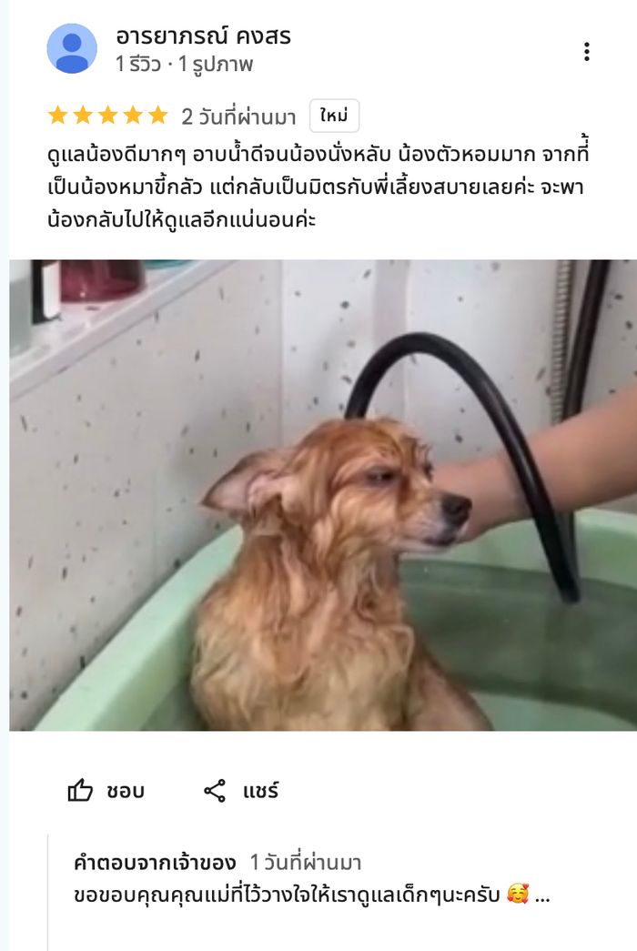 รีวิวจากลูกค้า Perfect Pet House