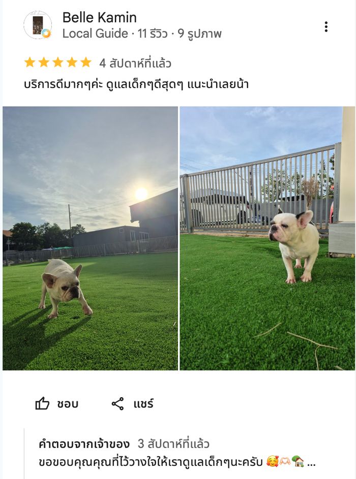 รีวิวจากลูกค้า Perfect Pet House
