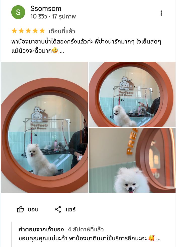 รีวิวจากลูกค้า Perfect Pet House
